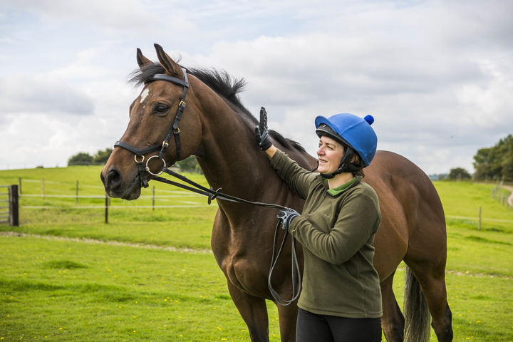 Groundwork Exercises for Horses: Boosting Trust and Building Bond