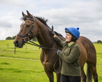 Groundwork for horses is a good way to build trust and confidence in each other