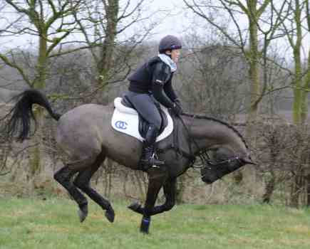 A horse bucking requires a secure lower leg in order to stay on