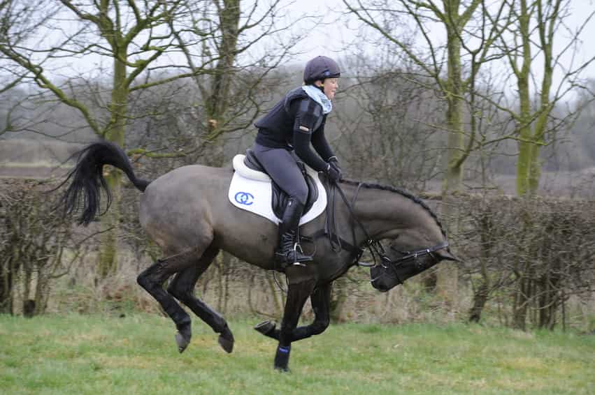 A horse bucking requires a secure lower leg in order to stay on