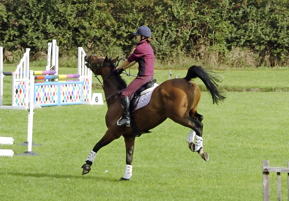 How to stop a horse bucking Your Horse