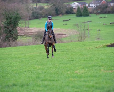 Pictured is dark bay horse and rider galloping uphill in a field as part of their interval training
