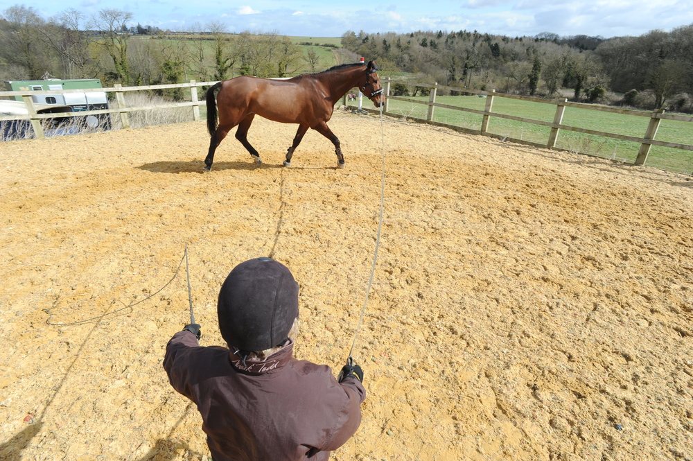 Cavesson or bridle? How to fit them both correctly for lungeing Your