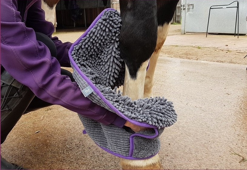 Made with soft, highly absorbent microfibre, the Henry Wag Noodle Glove Towel makes cleaning and drying simple. It is effective in removing dirt and water from a horse’s lower legs reducing the risks of infection and sores. 
