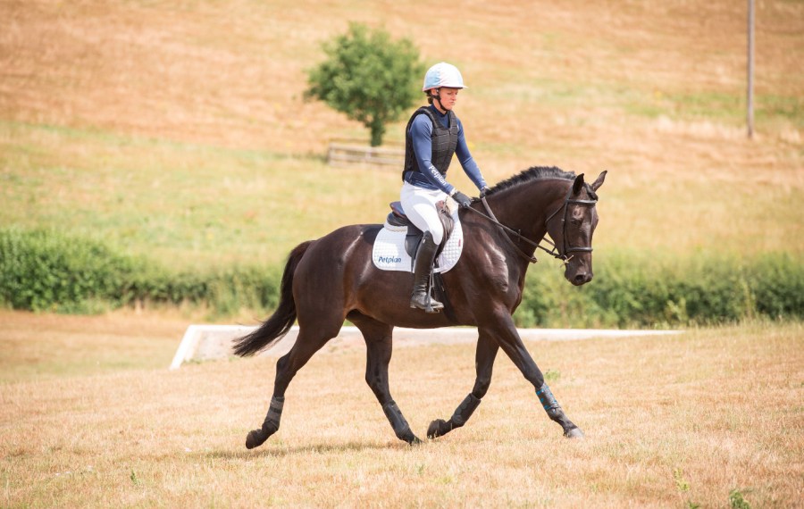 A neck strap is a vital piece of riding kit