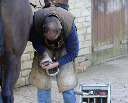 For a scared horse, being shod is a stressful experience
