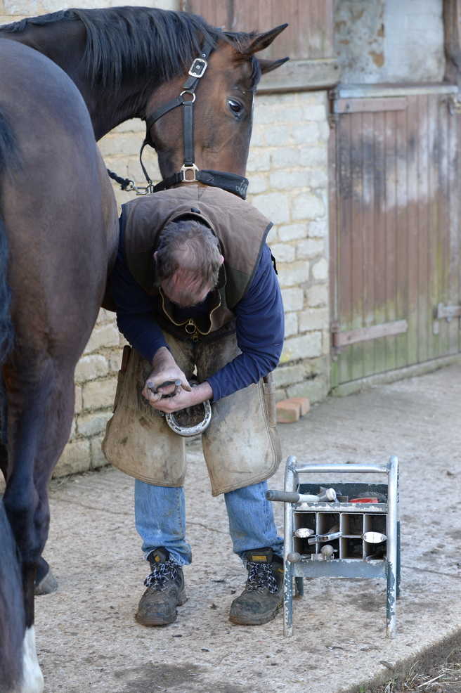 For a scared horse, being shod is a stressful experience