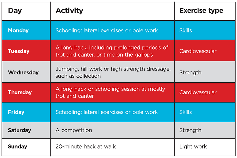 fitness-plan-for-a-healthy-horse-your-horse