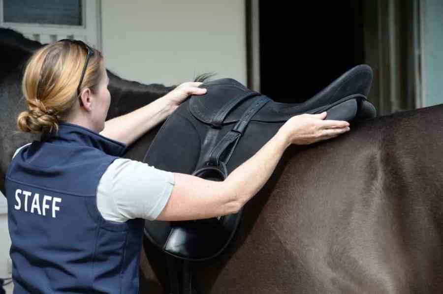 Check your saddle's balance and clearance of the withers and spine