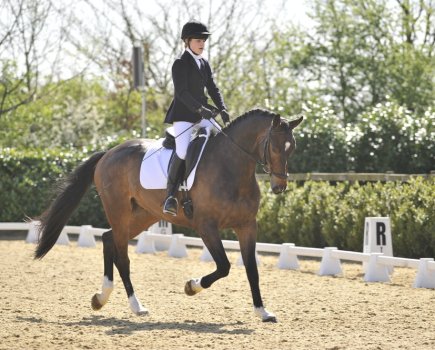 Correct rider position will help a horse move and work at their best