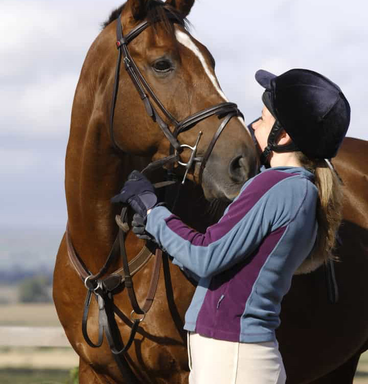 14 Ways to Show Your Horse You Love Him Your Horse