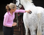 Pictured is a lady grooming a grey horse. A good grooming kit needs to be well stocked with a variety of horse brushes