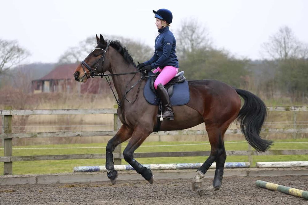 How can I stop my horse adding an extra stride before a jump? Your Horse