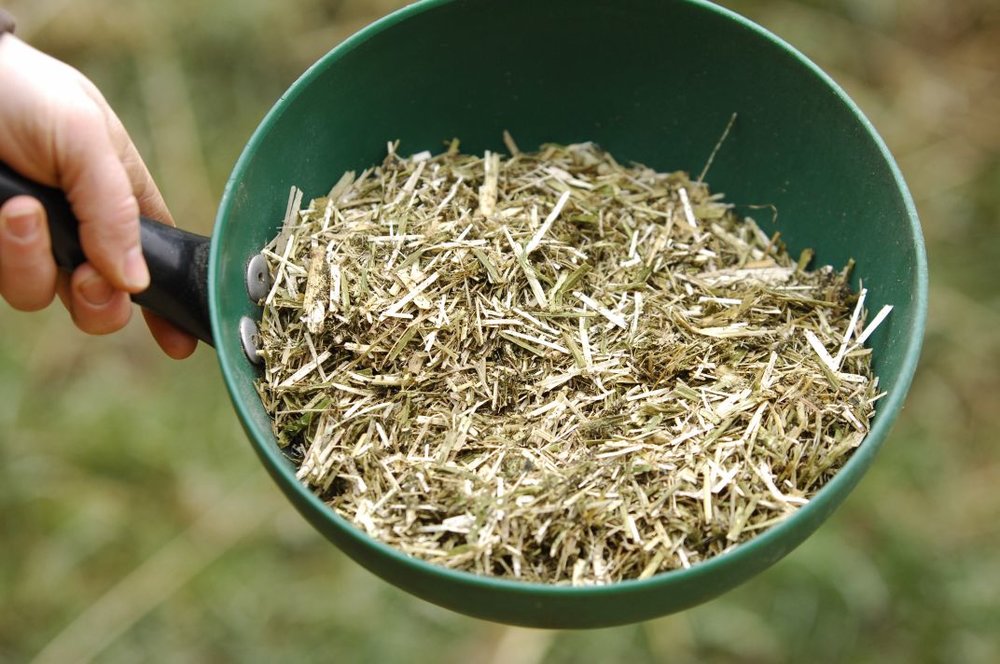 What to Feed Horses With Loose Droppings Your Horse