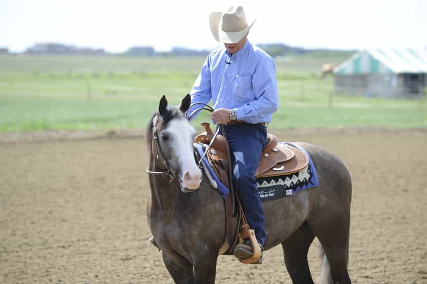Western rider on sale