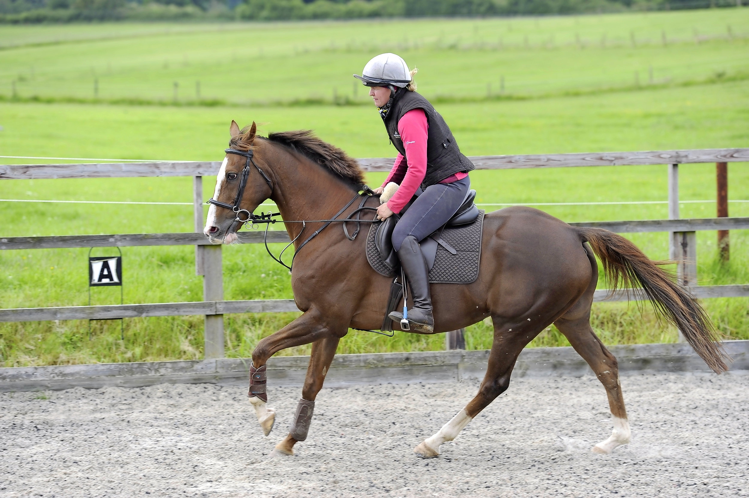Establishing Balance and Improving an Exracehorse's Canter Your Horse
