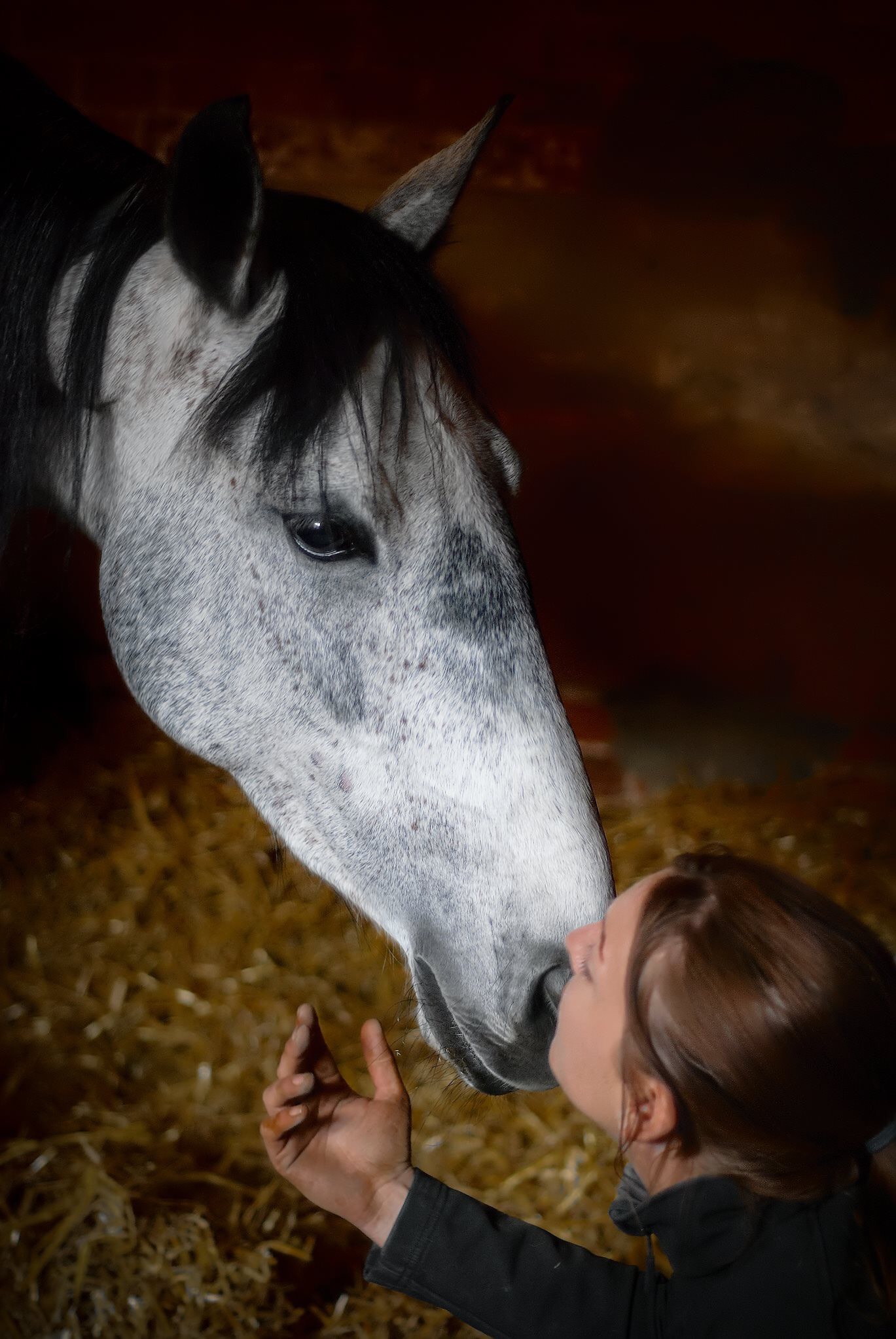 Treating a Severe Fungal Infection Your Horse