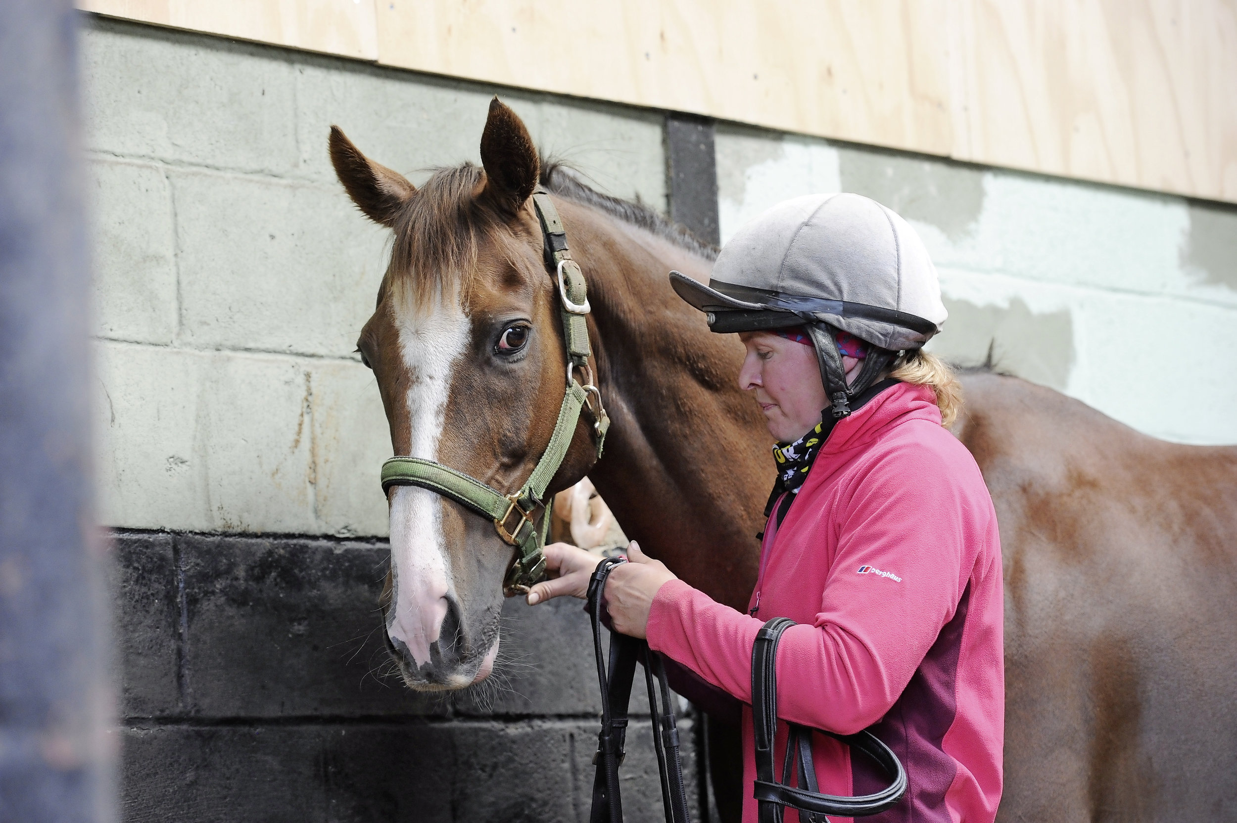 New scheme will provide expert tuition to riders on former racehorses
