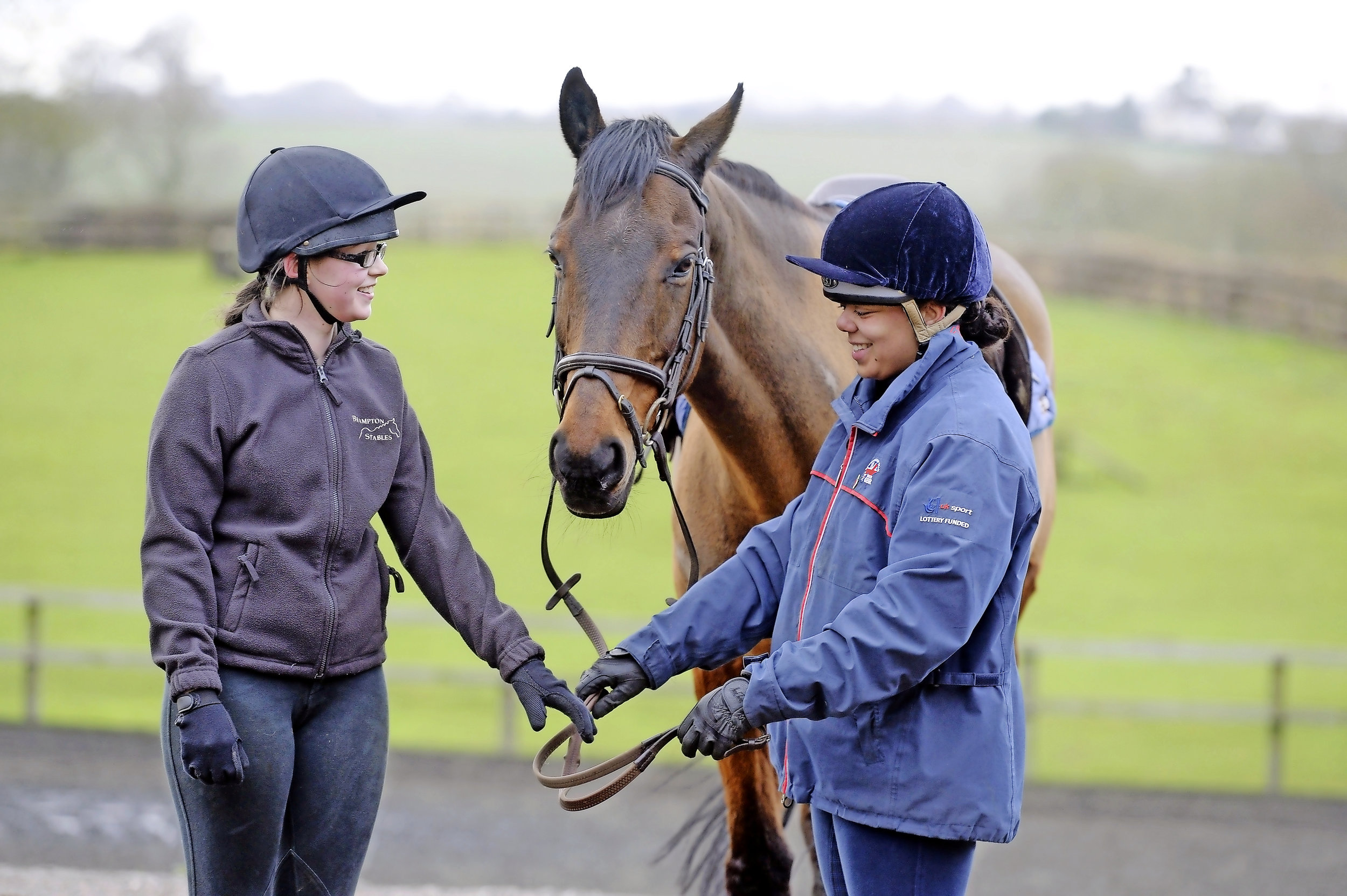 Should I Buy a Horse? Your Horse