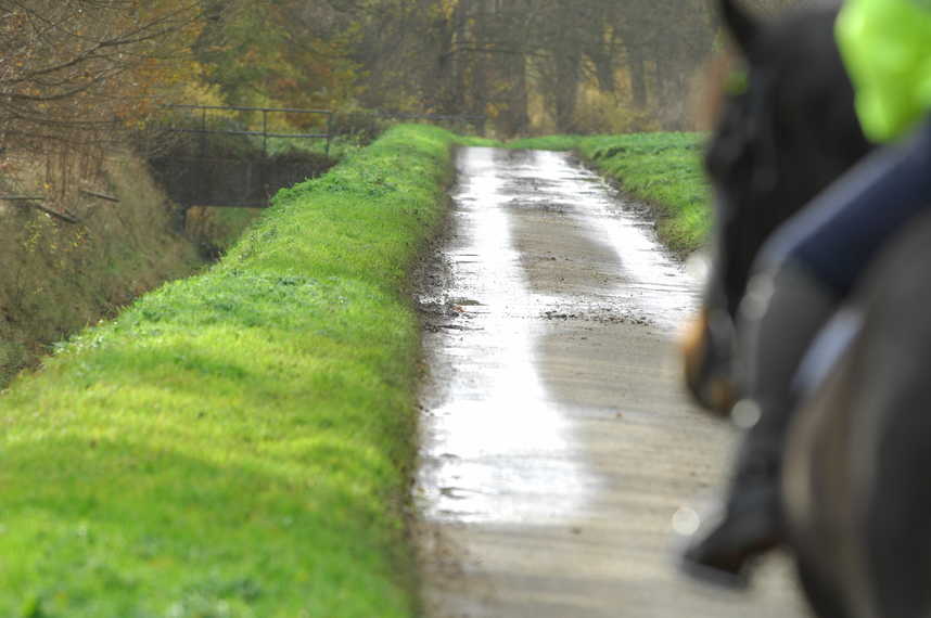 Do Horses Have Right of Way on the Roads? Your Horse