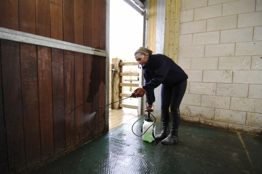 Disinfecting a stable