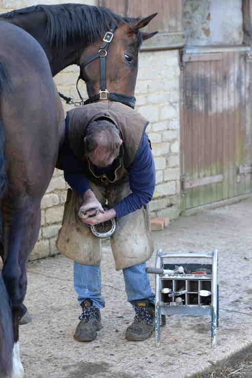 How Can I Help My Horse With His Fear of the Farrier? - Your Horse