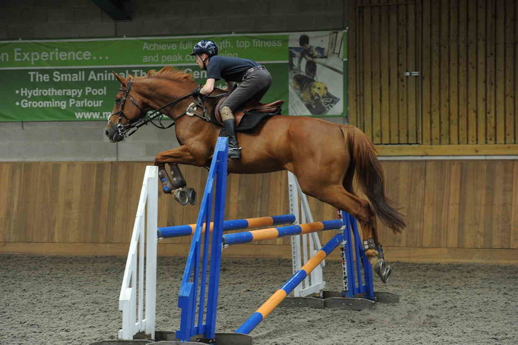 Show jumping with horses - Challenging and fun!