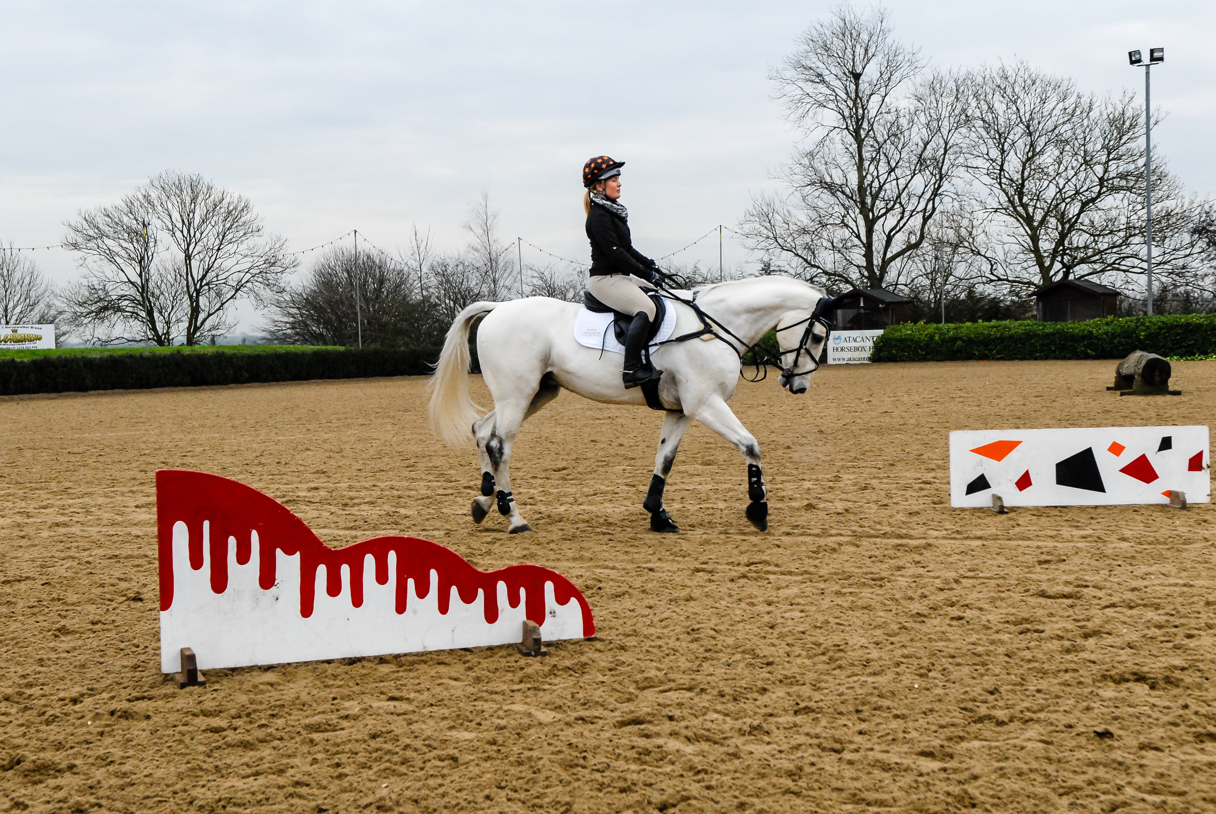 CONFIDENCE IN HORSE JUMPING – DVR Equestrian Ltd