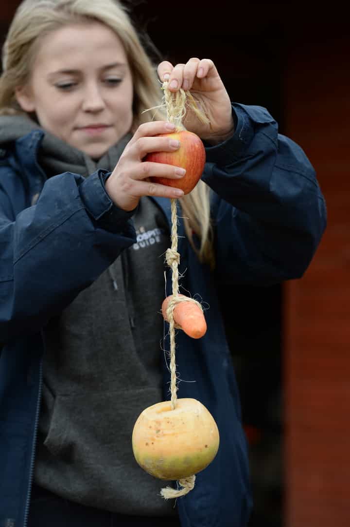 Hang a vegetable kebab in your horse's stable