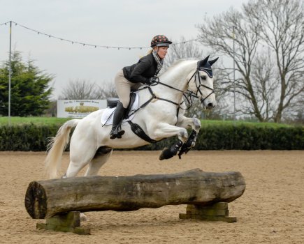 Feeding a competition horse correctly means providing a diet that gives enough energy to fuel the work being done