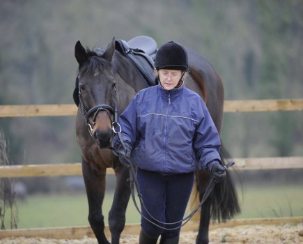Groundwork for horses leads to better communication between horse and rider