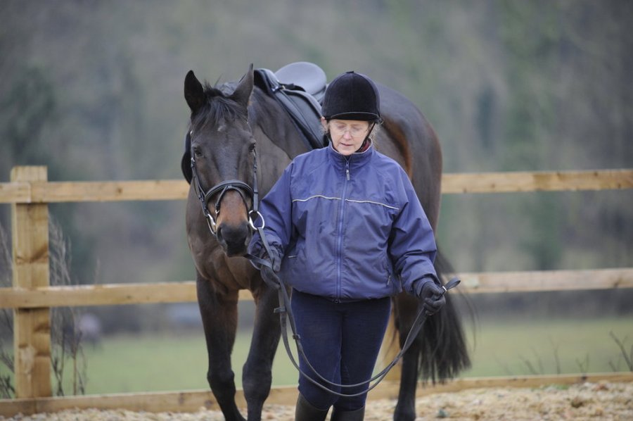 Groundwork for horses leads to better communication between horse and rider