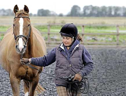 Groundwork sessions with your horse grows mutual confidence