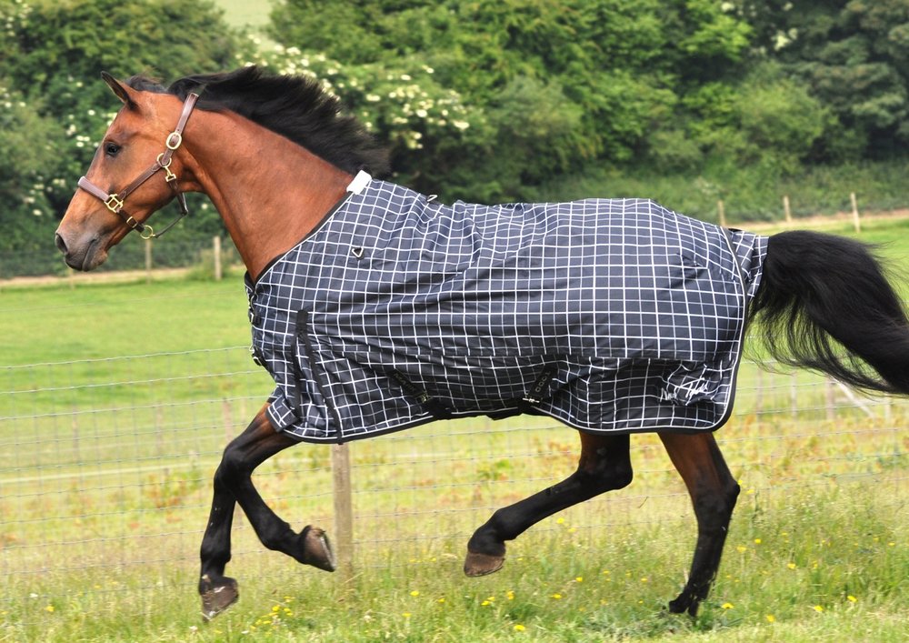 Choosing the Right Weight Winter Horse Rug Your Horse
