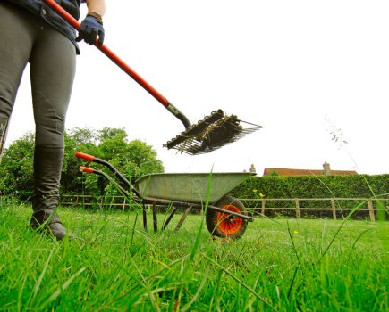 Horse worming requires good effective field management in order to prevent contamination of your pasture