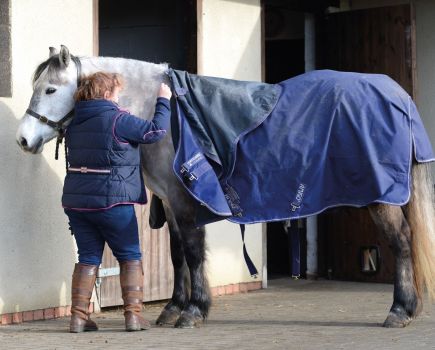 Good horse rug care will help rugs and blankets do their job well for longer