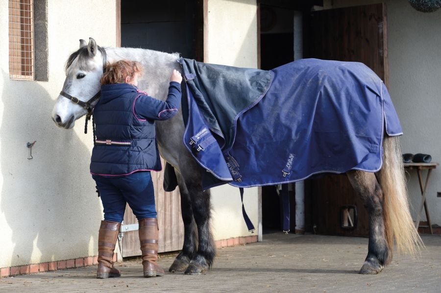 Good horse rug care will help rugs and blankets do their job well for longer