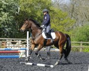 A horse fitness plan is important