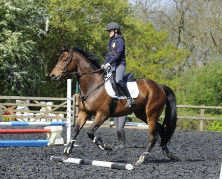 A horse fitness plan is important