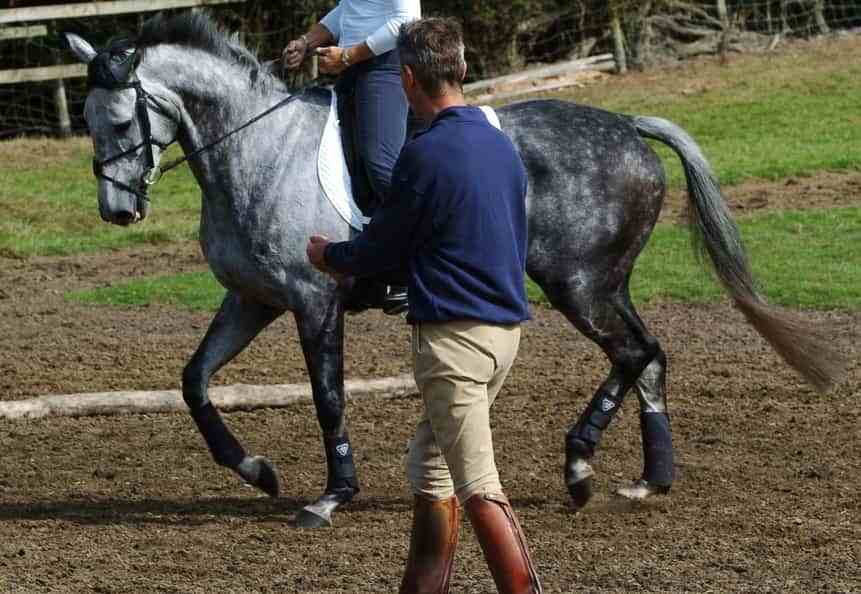Top Riding Instructors How Do I Become a Horse Riding Instructor? - Your Horse