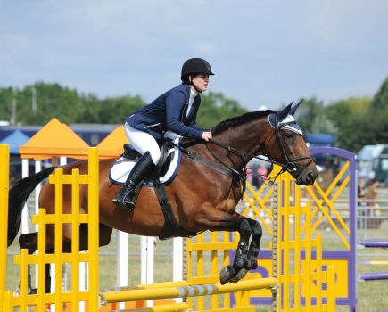 Pictured is a rider on a bay horse and rider clearing a yellow showjumping while competing on grass