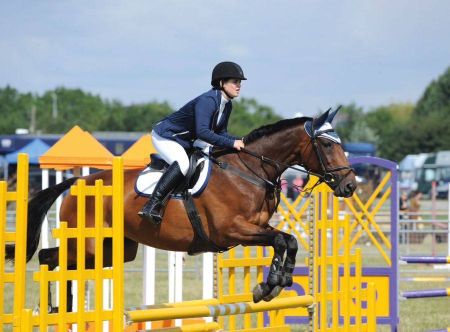 Pictured is a rider on a bay horse and rider clearing a yellow showjumping while competing on grass