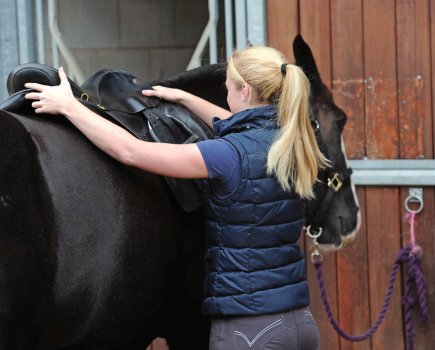 Discomfort when being tacked up could be a sign of a cold-backed horse — or maybe poor saddle fit