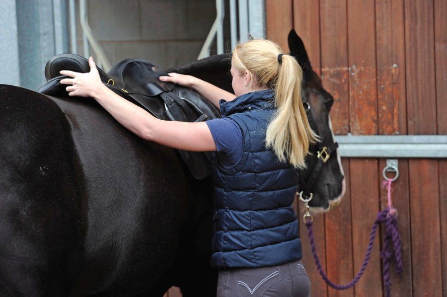 Discomfort when being tacked up could be a sign of a cold-backed horse — or maybe poor saddle fit