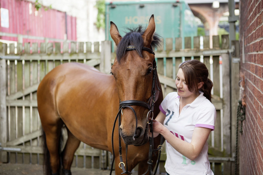 How to Put a Pony's Bridle on Your Horse