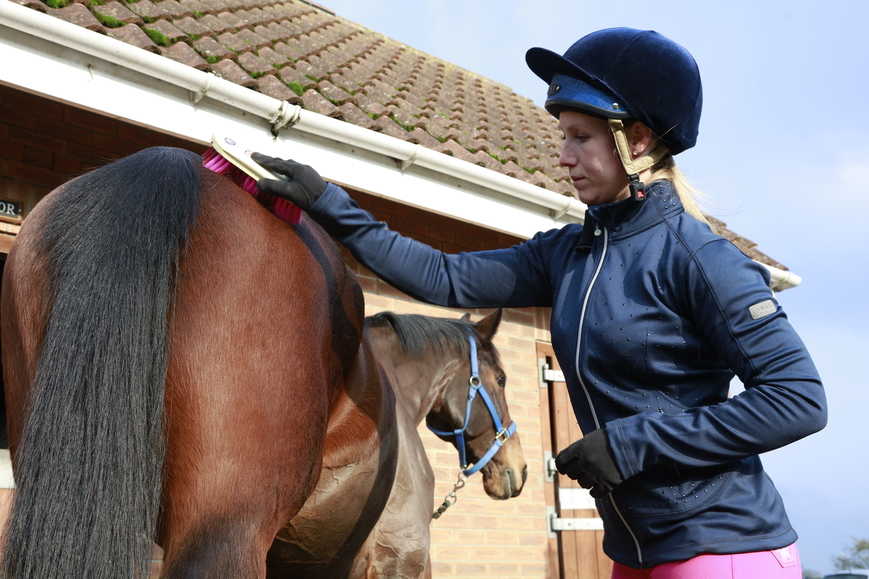 13 signs your horse is happy Your Horse
