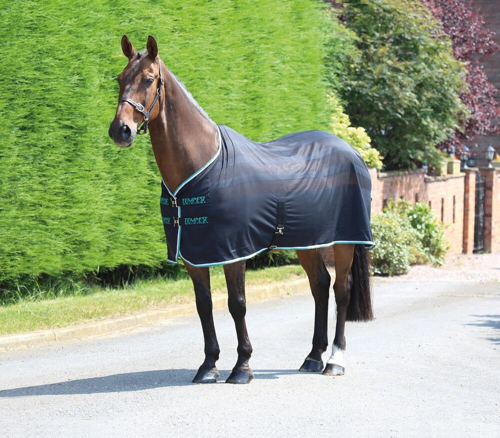 7 Coolers to Keep Your Horse Comfortable This Winter Your Horse