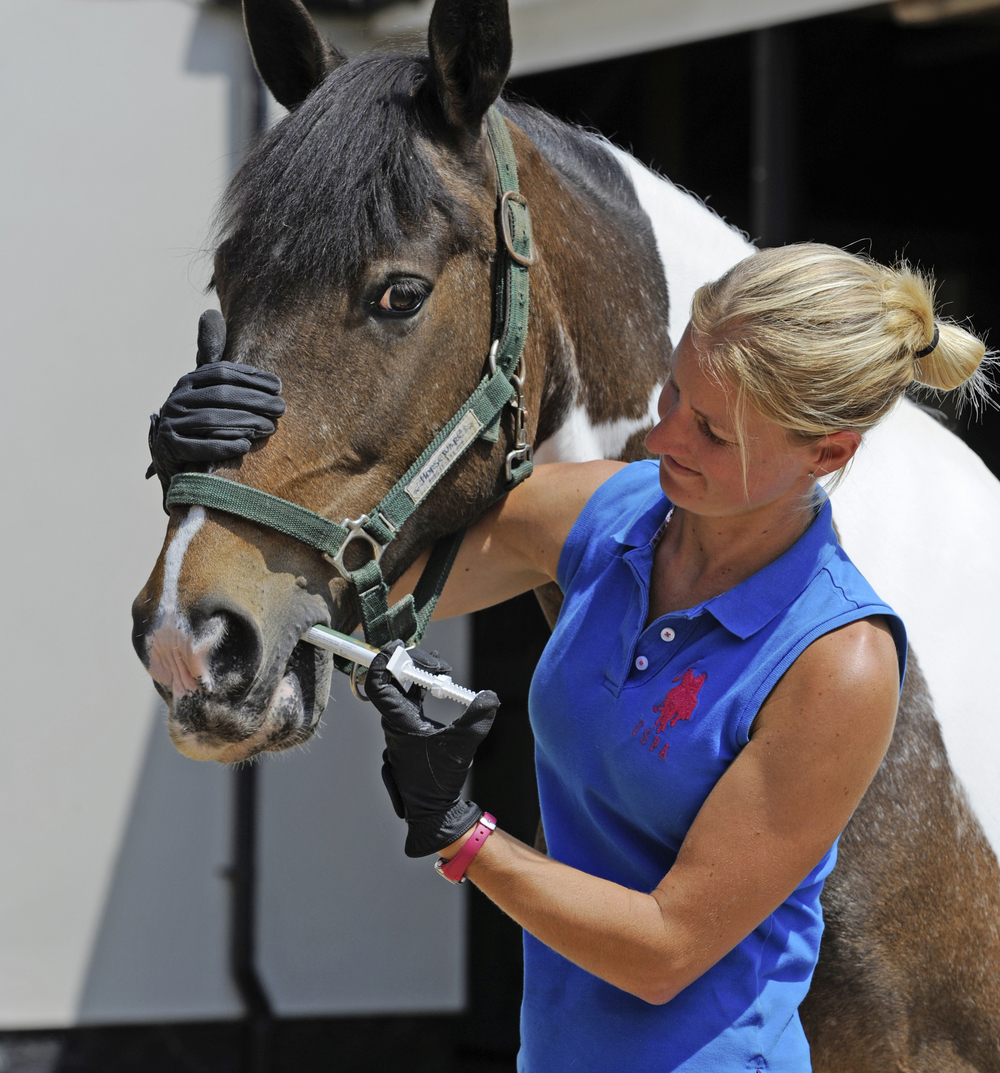 When to Worm Your Horse Your Horse