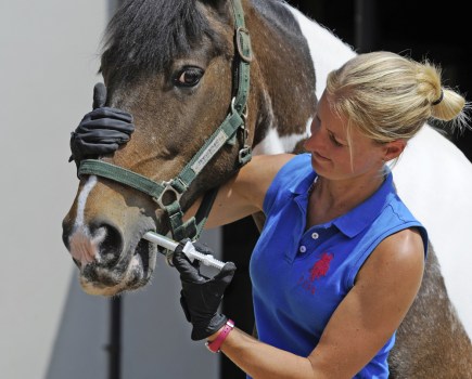 When horse worming, it is essential to test for worms before administering a wormer drug